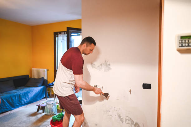  Rowlett, TX Mold Removal Pros